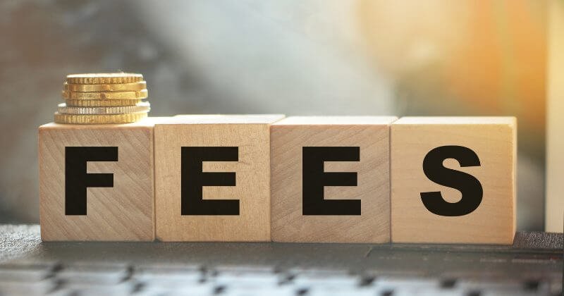 US Immigration Fees on Immigrants 2025: