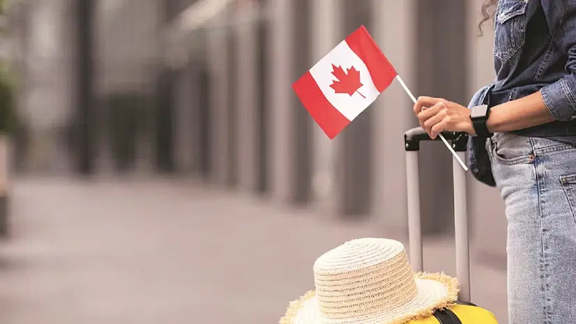 Immigration Canada: 10 Courses That Guarantee High Employment Opportunities